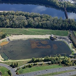 North & South Meadows Sediment Removal