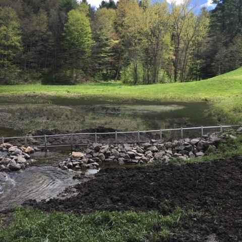 Large rocks being relocated during the construction project.