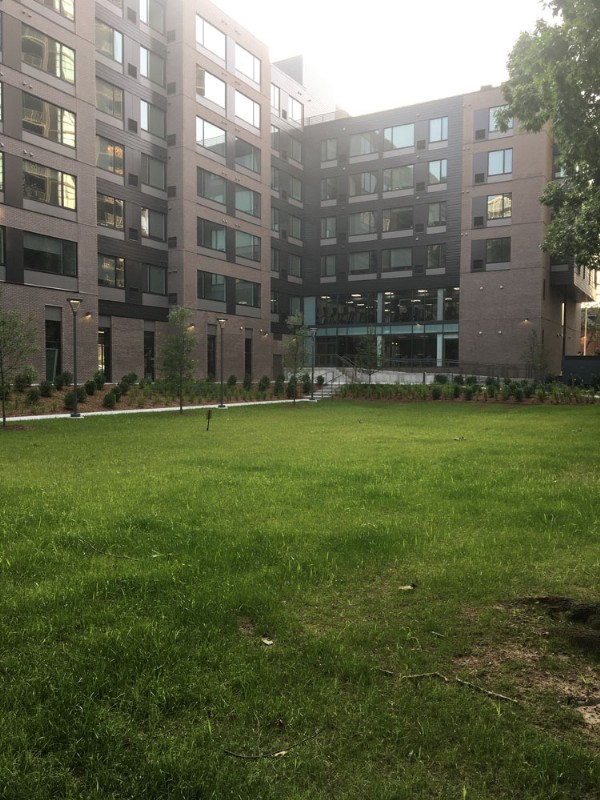 A concrete walkway and grassy lawn aside the large new building.